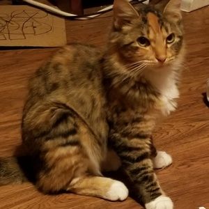 Meet your Posher, Barbie